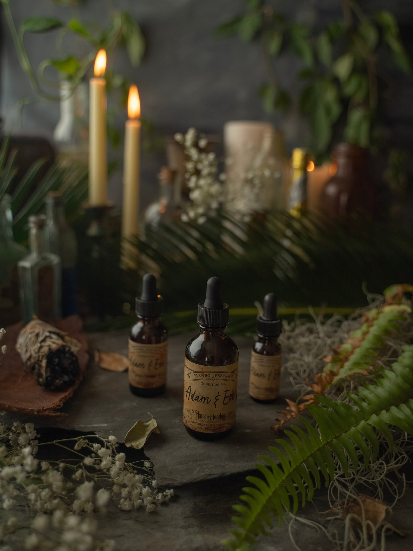 Adam & Eve Condition Oil