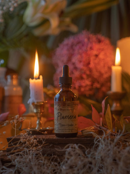 Plumeria Flower Essence Oil
