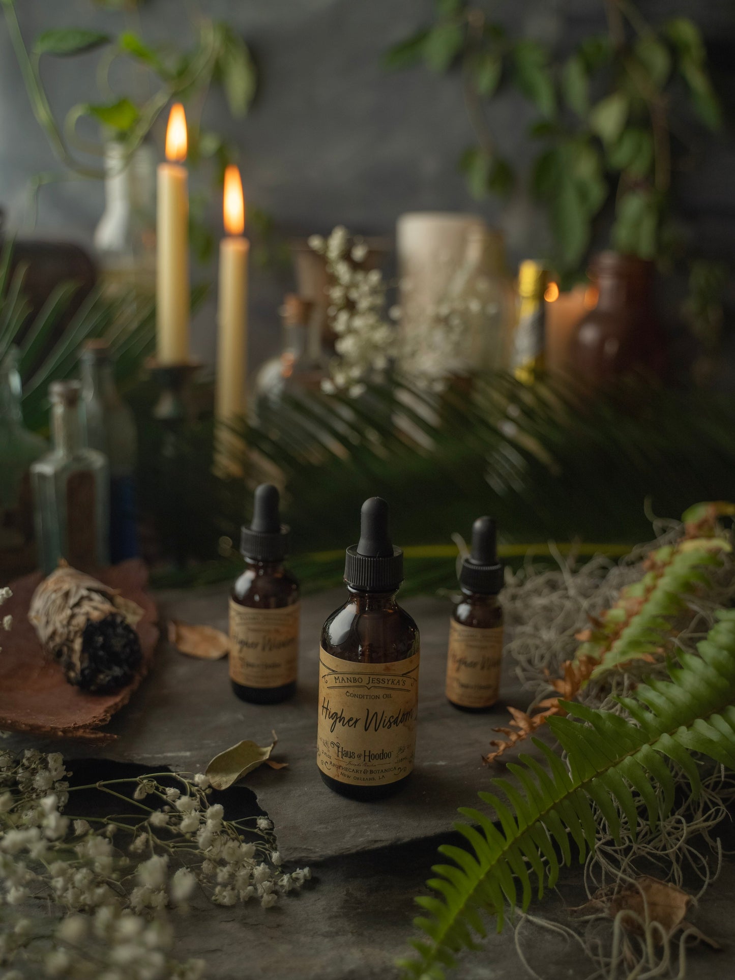 Higher Wisdom Condition Oil