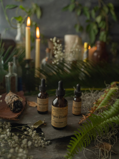 Higher Wisdom Condition Oil