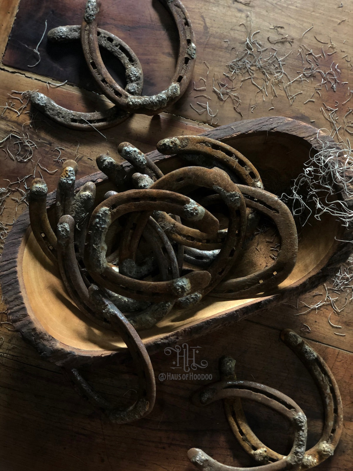Rusty Horseshoe