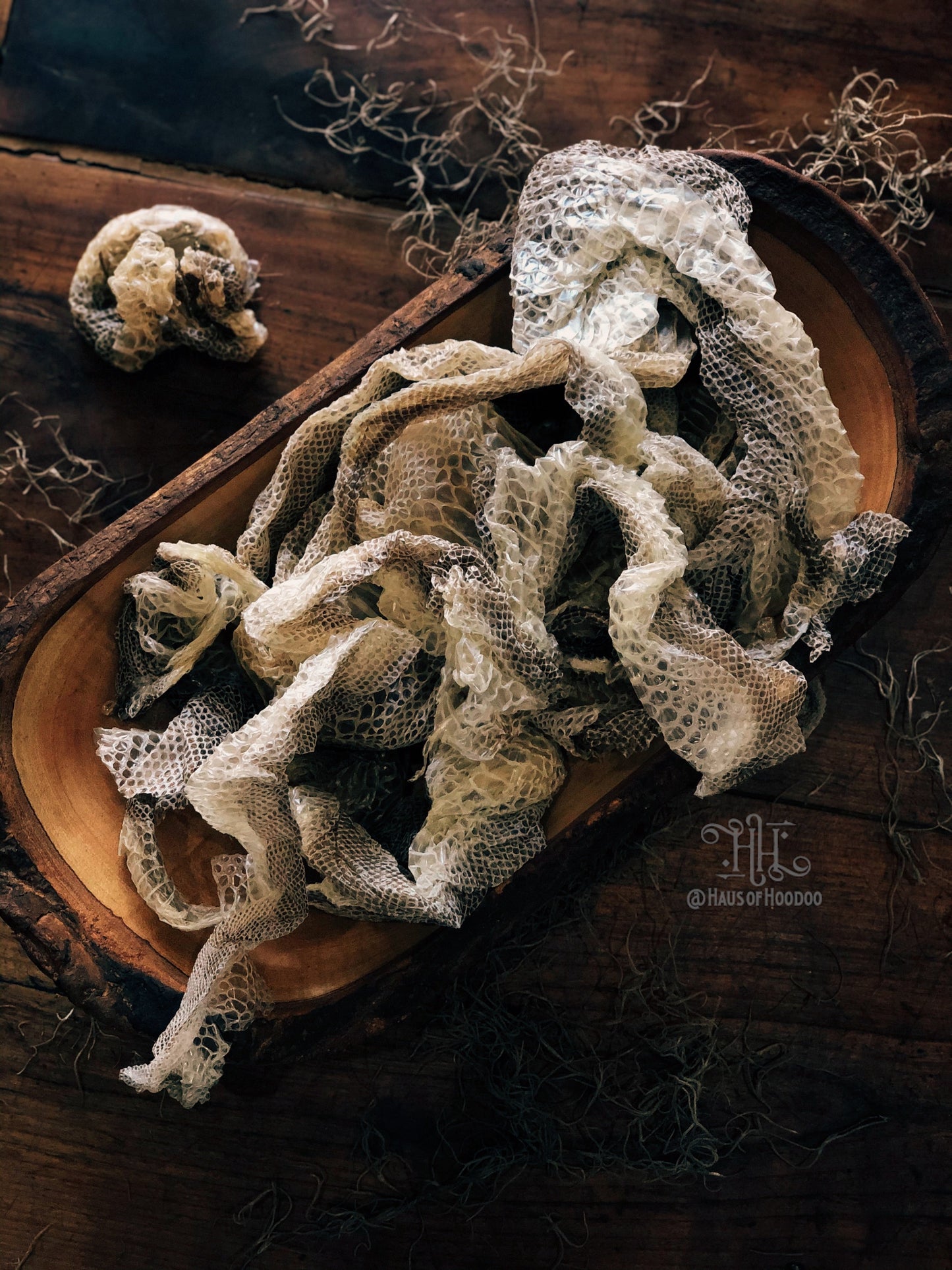 Snake Skin